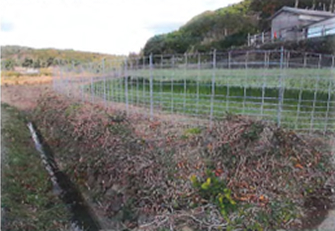 イノシシ柵写真