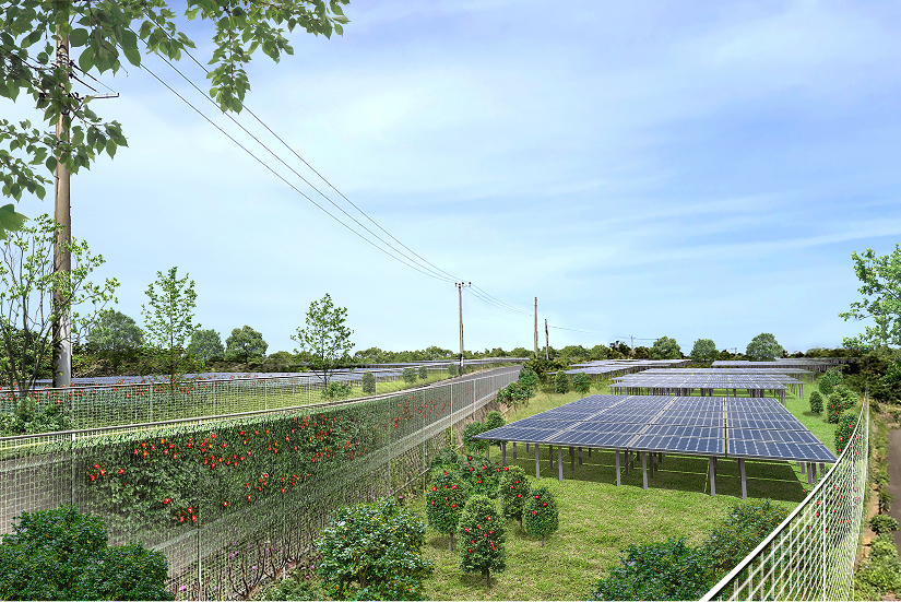 パネル設置のイメージ図